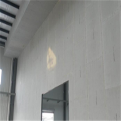 昌图宁波ALC板|EPS加气板隔墙与混凝土整浇联接的实验研讨